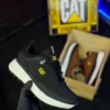 CAT adulto