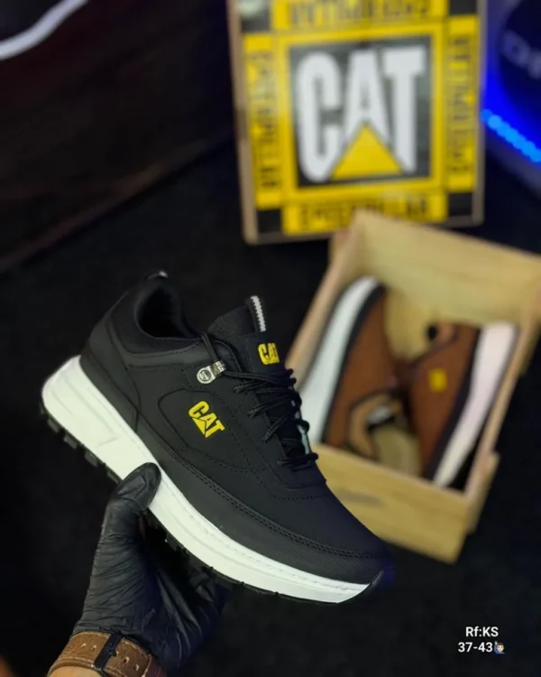 CAT adulto