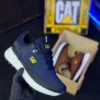 CAT adulto