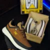 CAT adulto