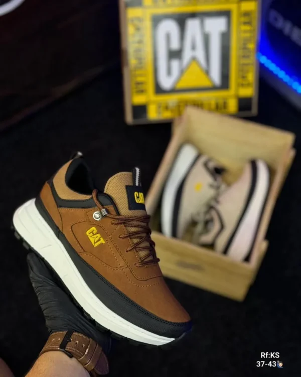 CAT adulto