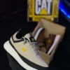 CAT adulto