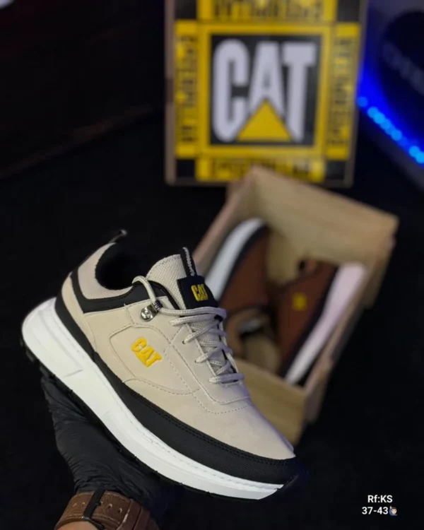 CAT adulto